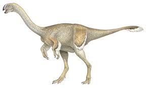 Gigantoraptor Elrianensis